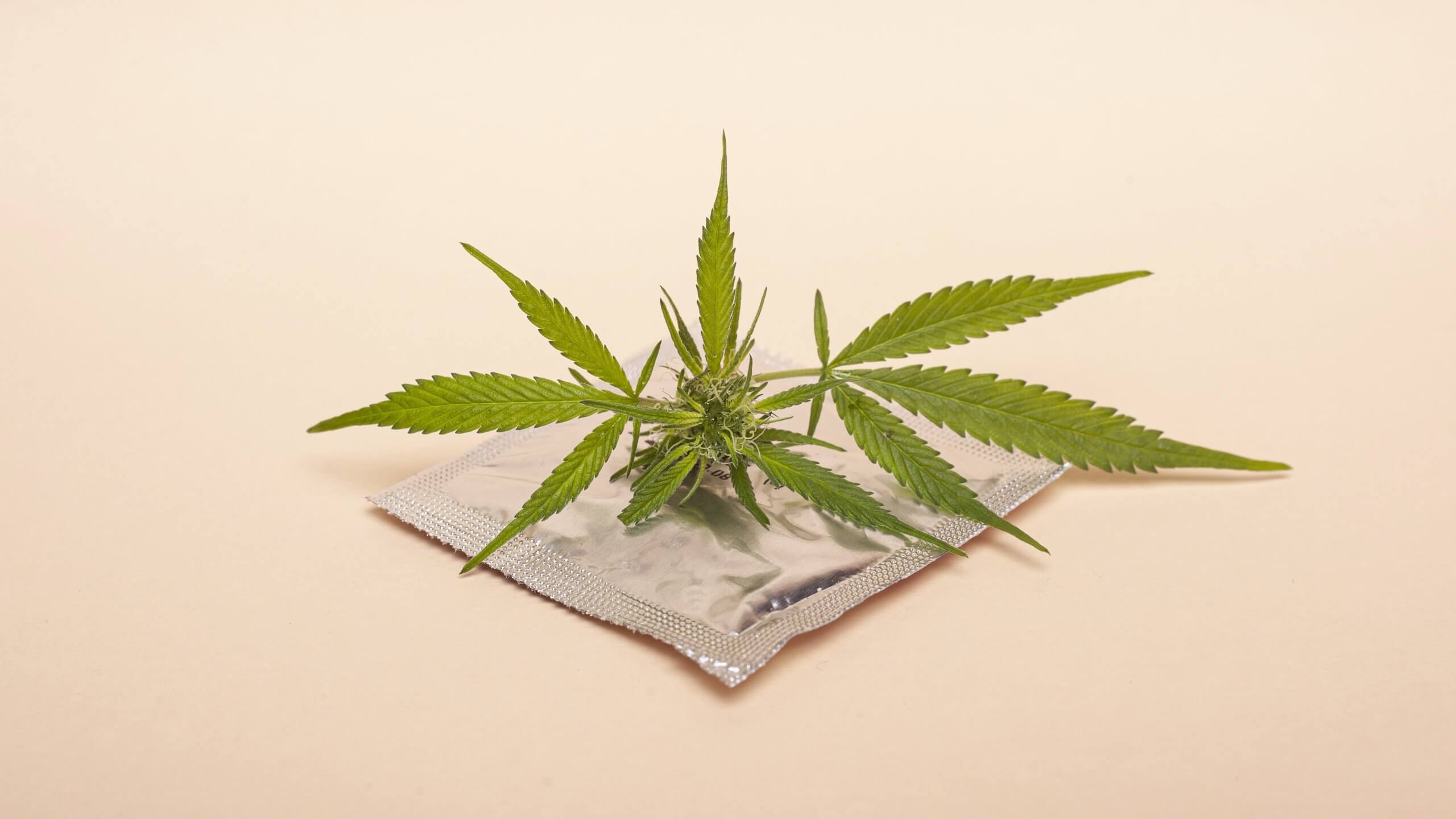cannabis plant on condon cbd and sex